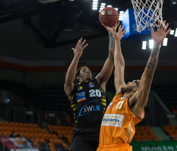 并展示这些 并展示这些